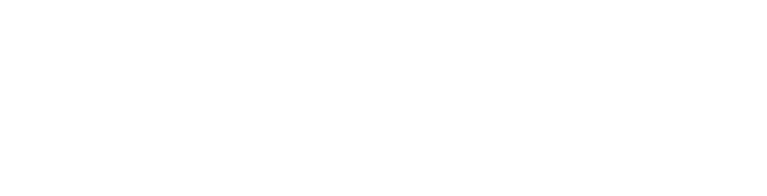 BinaxPay